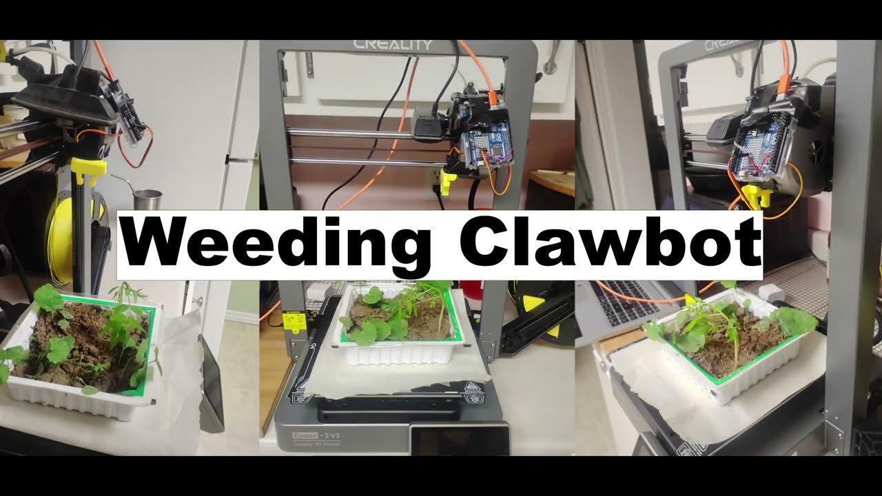 Safe AI Agent Design for Autonomous Weeding Robots