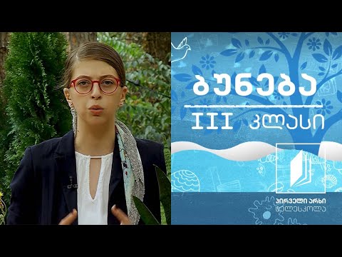 ბუნება, III კლასი - როგორი ფესვი აქვს მცენარეს; რისთვის სჭირდება მცენარეს ფესვი #ტელესკოლა