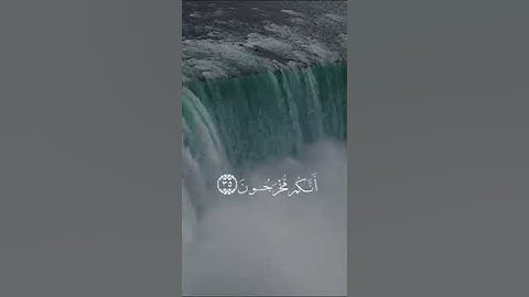 من سورة المؤمنون للشيخ ياسر الدوسرى ♥️