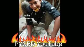 100%Funny Video 2023By Pycbd Youtube