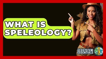 What Is Speleology? - Ecosystem Essentials