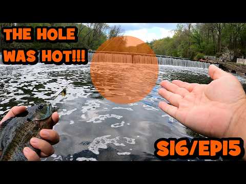 Catching Jumbos At My Creek Honey Hole...!!! (hot Action)[s16/ep15]