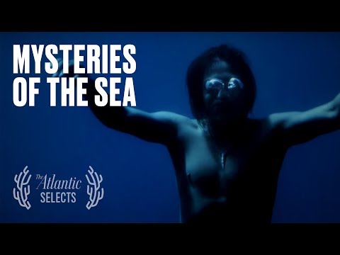 ვიდეო: ვინ ყვება ოკეანის გადინება?