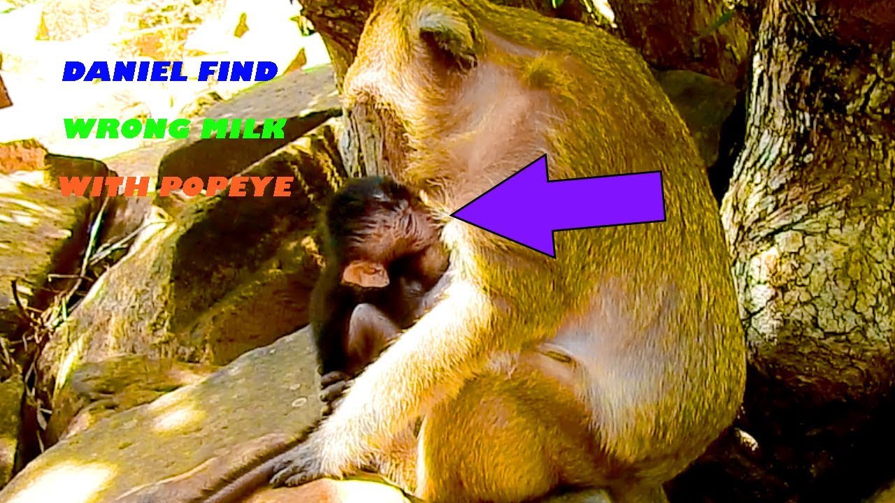 OMG, Baby Daniela Confused Mom, Sucking Popeye Milk Make Her Feel Surprised & Strange