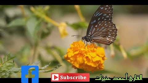 مقتطفات من سورة الفرقان القارئ: أحمد عنيزات