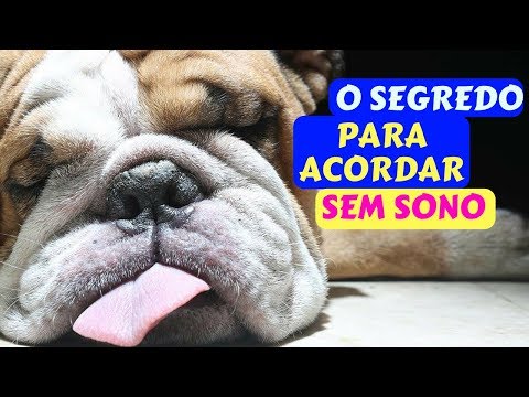 O Segredo para Acordar sem Sono