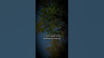 سورة الإنسان {١٤} | إبراهيم الشعشاعي