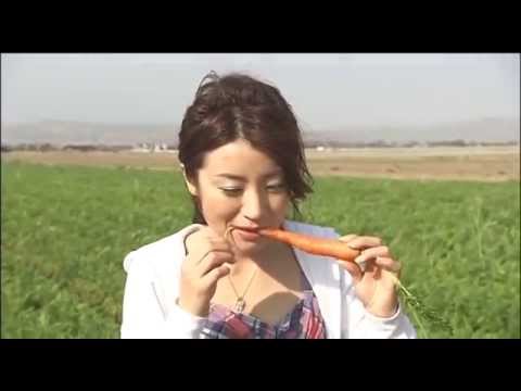 カリフォルニア　オーガニック紀行　川村ひかる　2/2