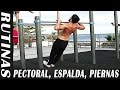 3 Rutinas para Cada Grupo Muscular - Pectoral y Tríceps, Espalda y Bíceps, Pierna