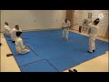 Kaeshi Barai (Uchi barai) - Ken Tai Jo