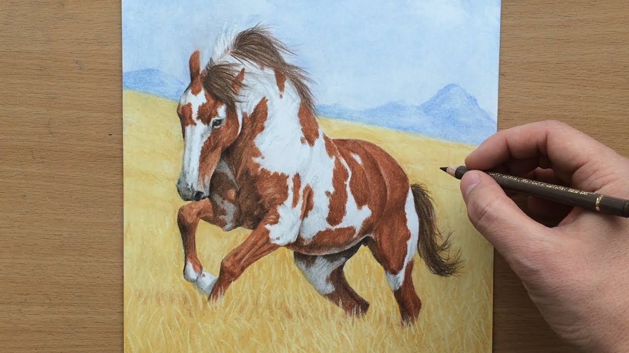 how to draw a realistic wild horse Wild Horse - Colored Pencil and Pastel Drawing