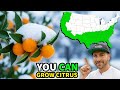 12 Insanely COLD HARDY CITRUS You REALLY CAN Grow In Ground!