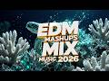 BASS-FILLED CAR MUSIC 2026 🎶 TOP EDM & ELECTRIC HOUSE PARTY HITS 🔥