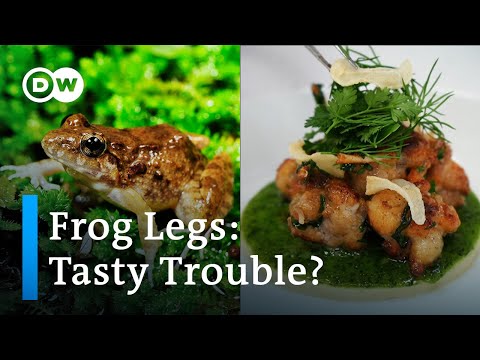 French Frog Legs: Delicacy Or Disaster
