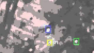 Predator Tracking Multiple Objects