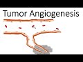 Tumor Angiogenesis