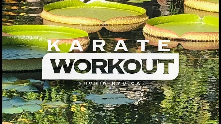 Karate Workout For Beginners - Dec 25 2021