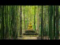 Buddha's Garden | Flute Music