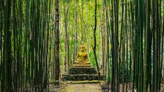 Buddha's Garden | Flute Music