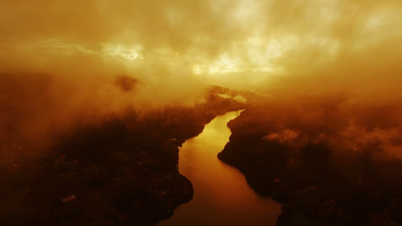 Vecteezy Premium Videos || Vecteezy aerial landscape with river and forest 1958 966