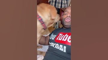 This Was Unnecessary 😂(AI-assisted video using OpenAI Sora) #funny #comedy #shorts