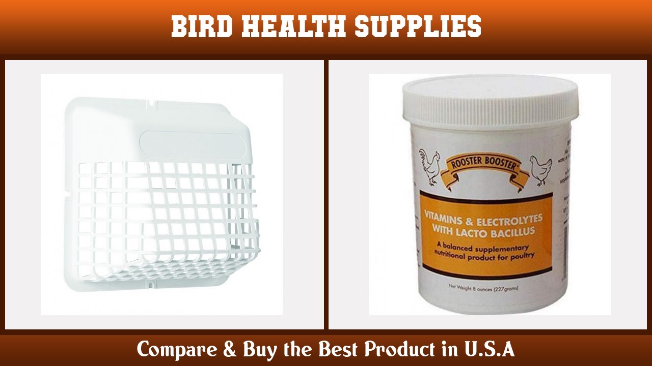 Top 10 Bird Health Supplies to buy in USA 2021 Price & Review YouTube