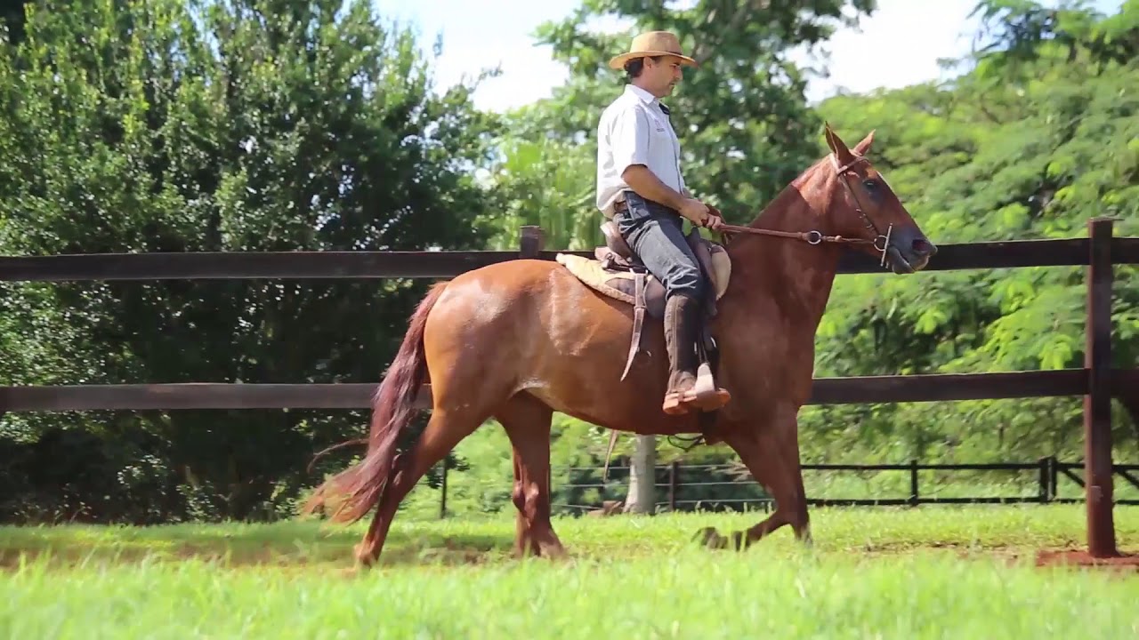 PENITENCIA II DA SELVA MORENA   Lote 2x1