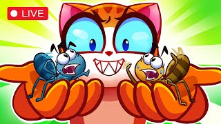 Don't Play with Ants Song  Kids, Play Safe! Cute Cat Cartoons with PurrPurr Live