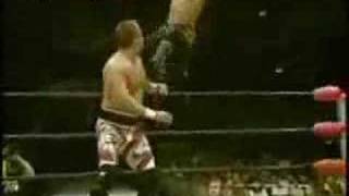 Low Ki Tribute