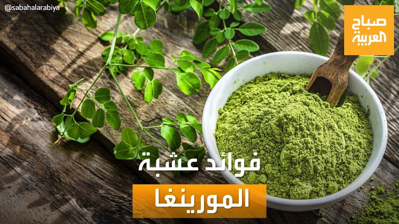 صباح العربية | خبيرة وصفات طبيعية تشرح فوائد عشبة المورينغا وكيفية تناولها