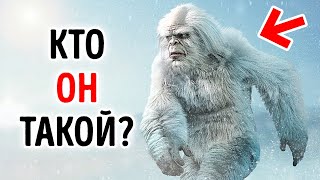 Ученые наконец-то разгадали тайну йети