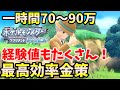 1時間で70~90万！経験値も美味しい最高効率金策！超楽に稼げるぞ！【ポケモンBDSP】【ポケットモンスター ブリリアントダイヤモンド・シャイニングパール】