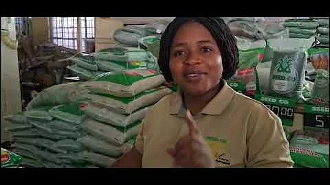 Seed Co Group Agronomy 85th Anniversary INSIGHT (Tip 56 of 85) #Zimbabwe