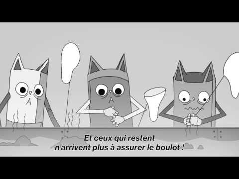 Vidéo: Inflammation Des Reins Due à L'accumulation De Liquide Chez Le Chat