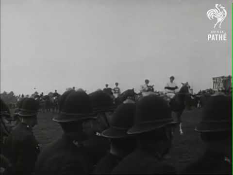 Emily Davison Epsom Derby 1913