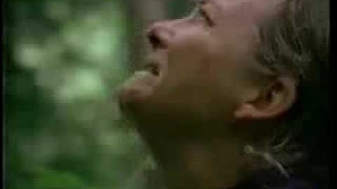 Tree hugging moonbats crying over trees