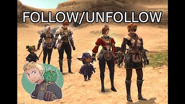 FFXI - Follow/Unfollow Multiple Characters Guide - Multibox like a PRO