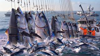 How Fishermen Catch Giant Bluefin Tuna & Swordfish | Fastest Fishing Techniques