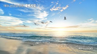 하늘비전교회-예수산소망성전 새벽예배 (2024.05.29)