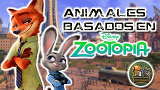 The Secret Guide To What Animals Appear In Zootopia