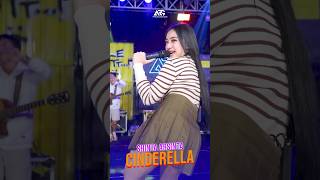Cinderella shinta arsinta