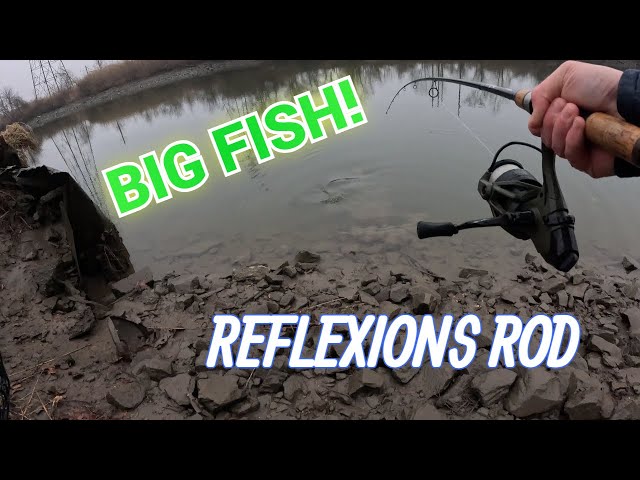 academy saltwater spinning reels Quantum Merit Spinning Reel