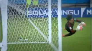 Guillermo OCHOA Best Saves Ever HD