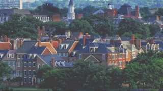 The Light of Hidden Flowers