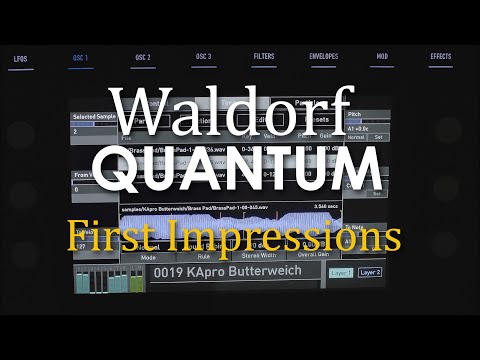 Waldorf Quantum - First Impressions