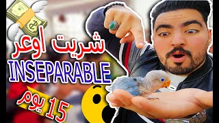 شريت اوعر ولييد انسيبارابل| 15 يوم | ها كيفاش خاص تعامل معاه باش ما يموتش