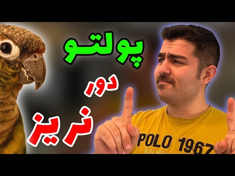 تصویری: 5 راه برای صدور احضاریه