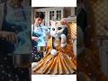 cute cats shorts video #ai​ #cat​ #cats​ #catvideos​ #billi​ #billa​ #shorts​ #short​ #trending​