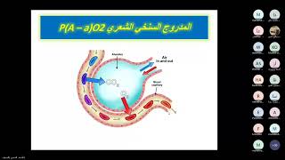 باطنة صدرية _ غازات الدم الشريانية _ م3 جزء1_ الدكتور أحمد حسن