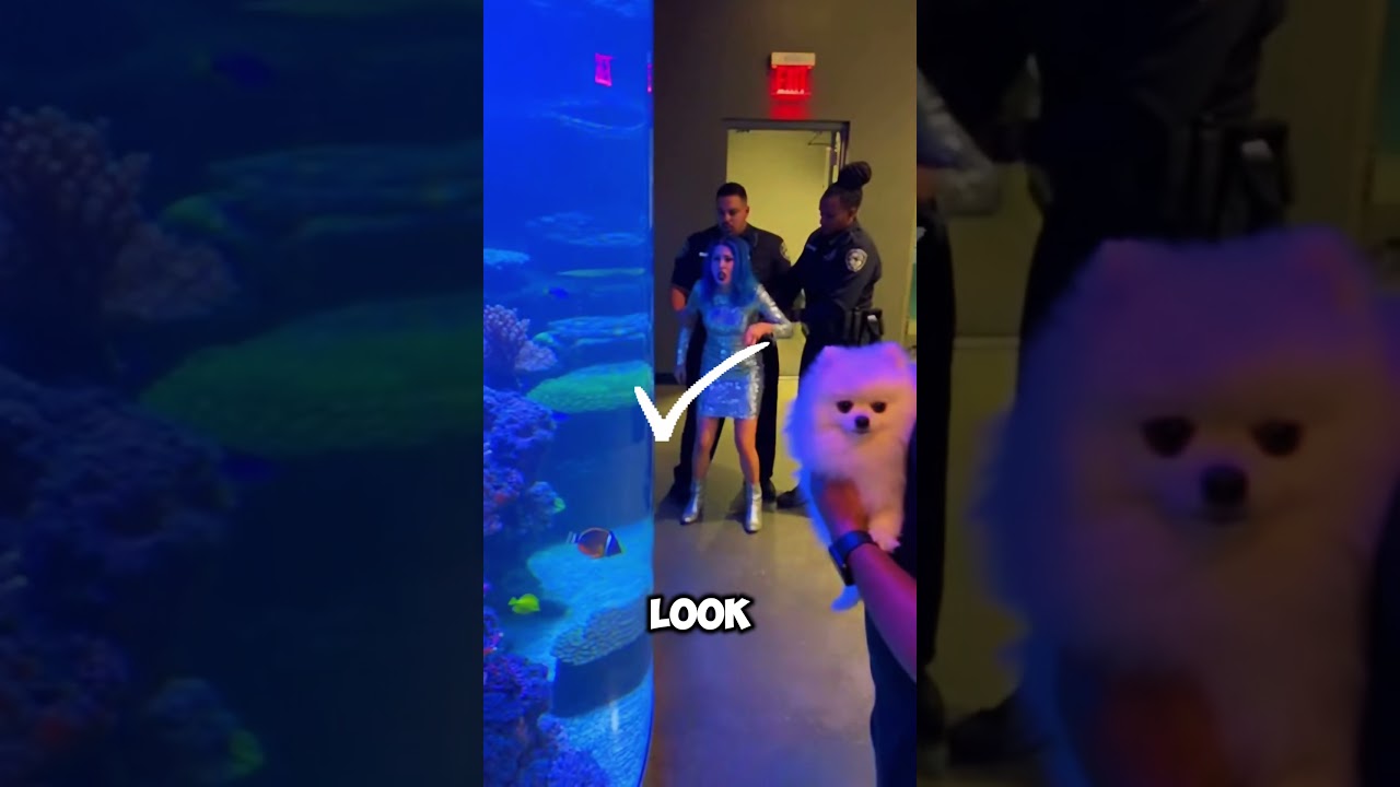 She dangled her DOG over a SHARK TANK! 🦈🐕